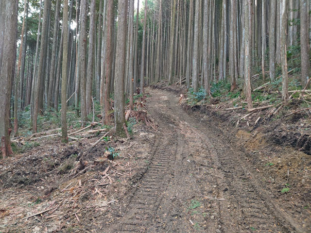 作業道